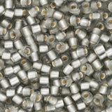 Perles de rocaille Toho 11/0 # 29AF Flacon de 8 à 9 g de diamants noirs givrés doublés d'argent