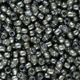 Perles de rocaille Toho 11/0 #371 Flacon de 8 à 9 g de diamants noirs doublés de blanc