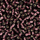 Perles de rocaille Toho 11/0 #26CF Flacon d'améthyste givré doublé d'argent 8-9g