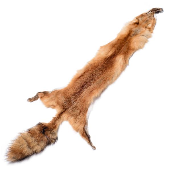 Red Fox Fur Pelt – i-Bead Inc.