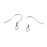Stainless Steel Fish Hook Earrings 10/pk