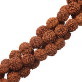 Rudraksha Round Beads 8mm 109/Strand