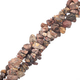 Peau de léopard jaspe (naturel) Perles Chips 36" Strand