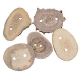 Bouton Bois de Cerf 1" Fabriqué à la Main 1/pk