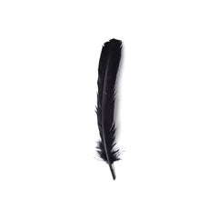 Turkey Feathers Black 6/pk