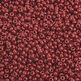 10/0 Czech Seed Beads Opaque Medium Brown 500g