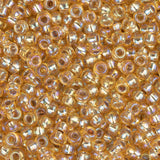 11/0 Miyuki Seed Beads #1003 Silver Lined Gold AB 22g