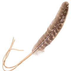 Natural Smudging Feather with Leather Wrap 1/pk