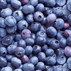 #509 Blueberries Blue 100% Cotton - Price Per Half Yard