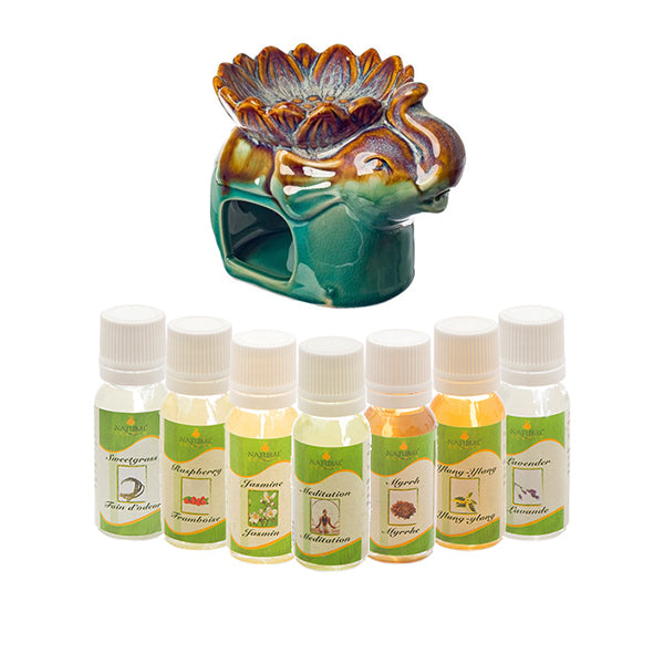 Essential Oils & Warmers
