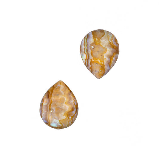 Paua Shell Cabochons, Teardrop 8x10mm 2/pk