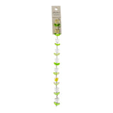 Crystal Lane Tulips 14x16mm Crystal w/Gold 7in