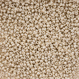 10/0 Czech Seed Beads #431 Metallic Light Silver 22g