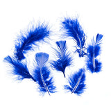 Plumes de Marabout Bleu Royal 6g