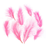 Plumes de Marabout Rose 6g