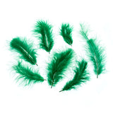 Plumes de Marabout Vert 6g