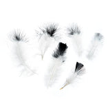 Plumes de Marabout Deux Tons Noir 6g
