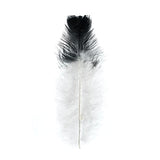 Plumes de Marabout Deux Tons Noir 6g