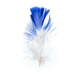 Plumes de Marabout Deux Tons Bleu Royal 6g