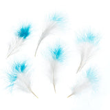 Plumes de Marabout Deux Tons Turquoise 6g
