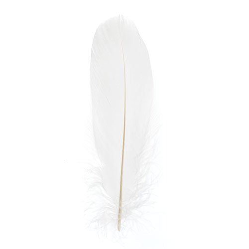 Goose Feathers 5-7" White 6g