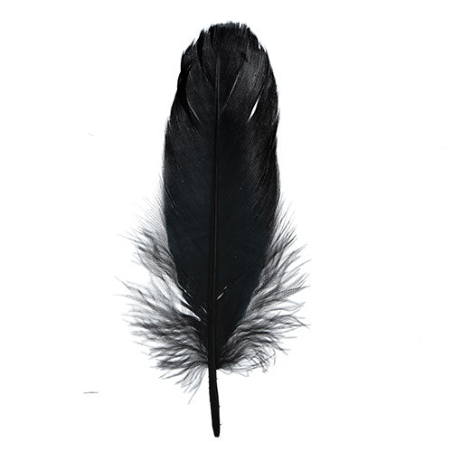 Goose Feathers 5-7" Black 6g