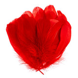 Plumes d'Oie Rouge 6g