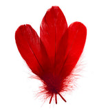 Plumes d'Oie Rouge 6g
