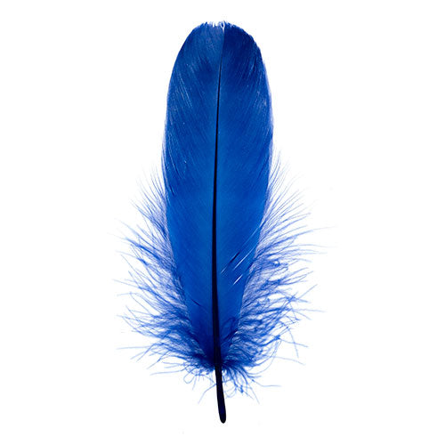 Goose Feathers 5-7" Royal Blue 6g