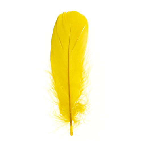 Goose Feathers 5-7" Yellow 6g