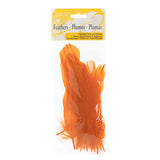 Plumes d'Oie Orange 6g