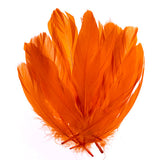 Plumes d'Oie Orange 6g
