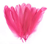 Goose Feathers Pink 6g