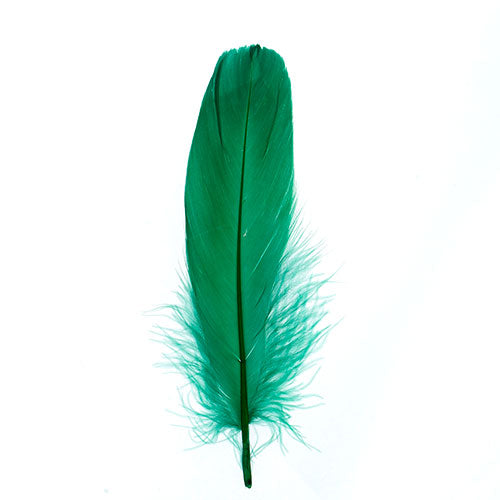 Goose Feathers 5-7" Green 6g