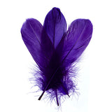 Goose Feathers Purple 6g