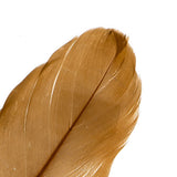 Goose Feathers Brown 6g