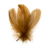 Goose Feathers Brown 6g