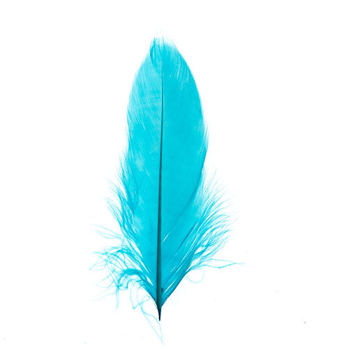 Goose Feathers 5-7" Turquoise 6g