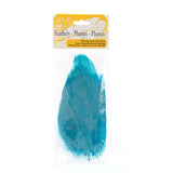 Plumes d'Oie Turquoise 6g