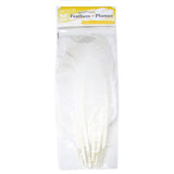 Plumes de Dinde Blanc 6/pk