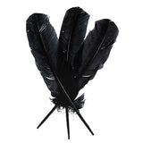 Plumes de Dinde Noir 6/pk
