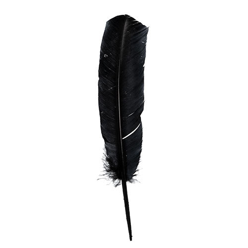 Plumes de Dinde Noir 6/pk
