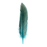 Guinea Fowl Quills 6-9" Turquoise 10/pk