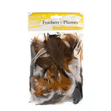 Plumes Plume Naturelle Mixte 20g