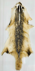 Badger Fur Pelt