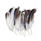 Mallard Duck Feathers 4-6" Natural 50/pk
