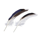 Mallard Duck Feathers 4-6" Natural 50/pk