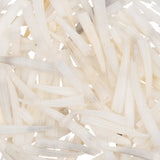 Petites coquilles de Dentalium striées 1 oz