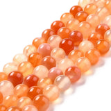 Perles de cornaline de 8 mm (naturelles/teintes) brin de 15 à 16 po