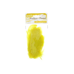 Goose Feathers Yellow 6g